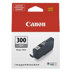Cartuccia Canon PFI-300GY (4200C001 ) grigio Originale
